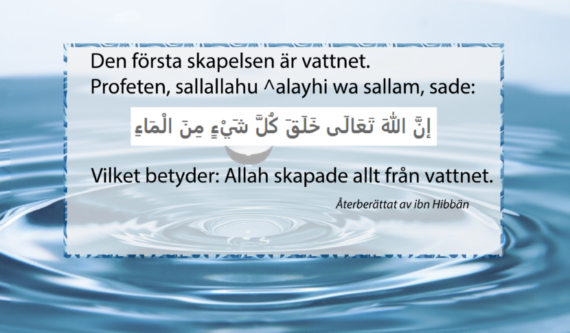 Allahs skapelser