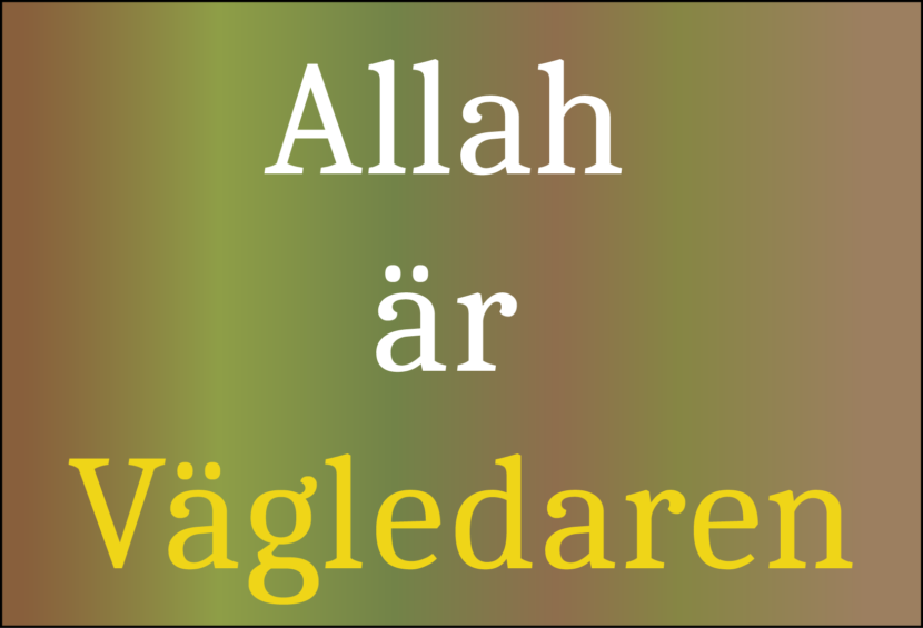 Ordet nur