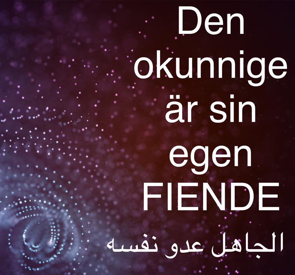 den-okunnige-ar-sin-egen-fiende
