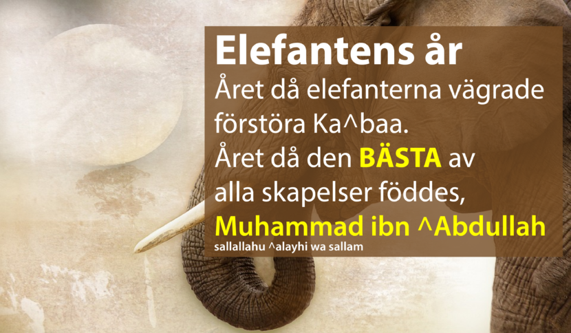 elefantens år