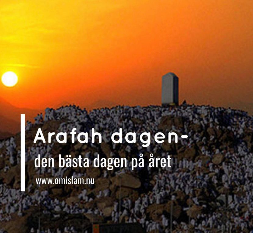 Arafah dgen den bästa dagen på året